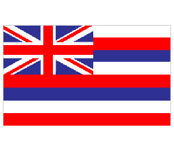 Hawaiian Flag #2