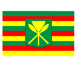 Hawaiian Flag #1