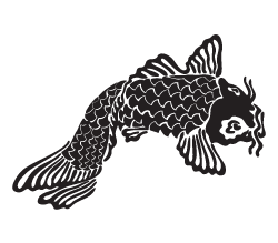 Koi