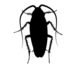 Cockroach Sticker