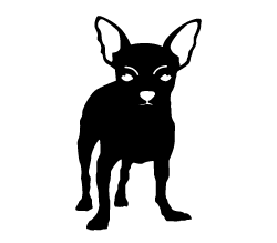Chihuahua #2 Sticker