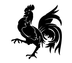 Chicken Sticker