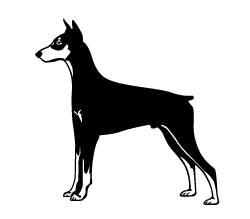 Doberman Detail Sticker